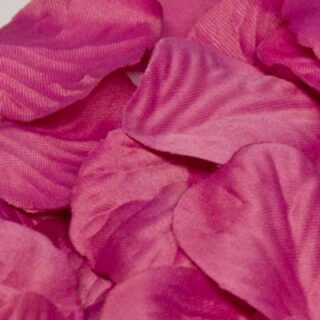 Eleganza Rose Petals Acetate box 164pcs Fuchsia No.28