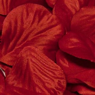 Eleganza Rose Petals Acetate box 164pcs Red No.16