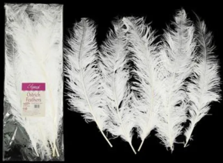 Eleganza Ostrich Feather white 60-65cm 5CT