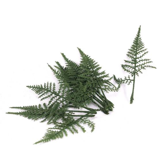 Fern Leaves X12 Pcs Per Bag Green