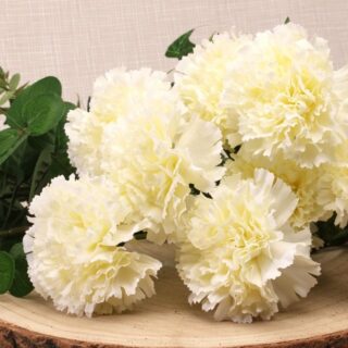 Carnation Bush x 8 Flwrs Cream