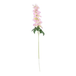 Arundel Garden Delphinium Cream Pink