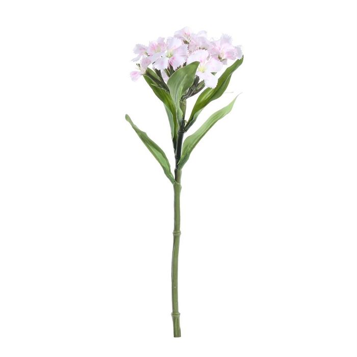 Real Garden Dianthus on Short Stem Cream/Pink (32cm)