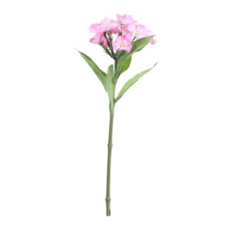 Real Garden Dianthus on Short Stem Dark Pink (32cm)