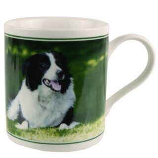 Puckator - Collie Boxed Mug - Mug0126