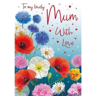 Regal - Birthday Mum Flowers - Code 75 - 6pk  - C80448