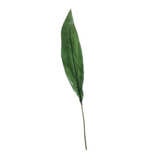 Extra Large Aspidistra Leaf Green (81cm) - SF8388