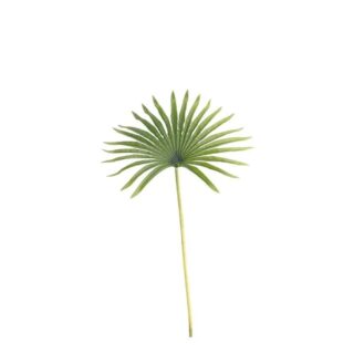 50cm Real Touch Fan Palm Green - SF8245