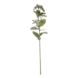 Euphorbia Marginata Spray (67.4cm) - SF0930