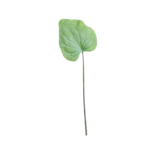 Large Hostas Leaf Green (56cm) - SF8406