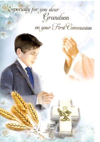 Grandson Holy Communion - C27327