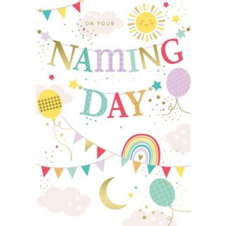 Naming Day - Code 50 - 6pk - WSS008 - Kingfisher