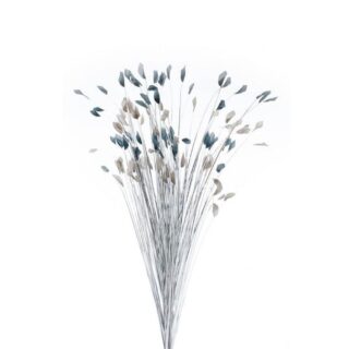 SILVER GRASS WITH GREY/NAVY TIPS - DF19317-B