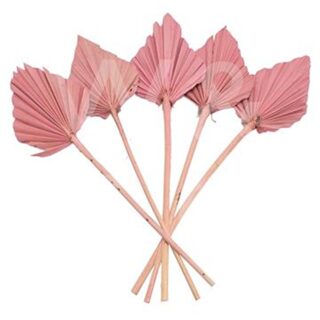 HESTIA PALM SPEARS BUNCH - PINK 45CM - HE2082