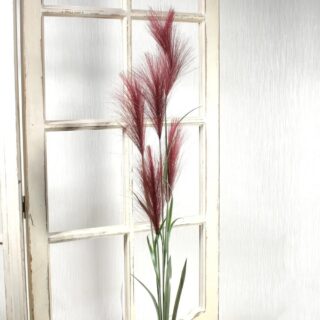 Pampas Grass Red (145cm) - SF8397R