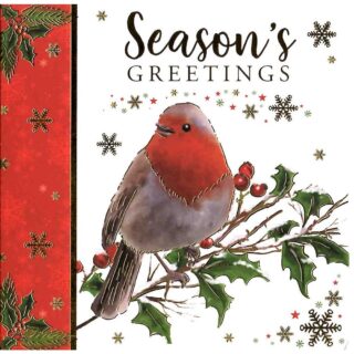 12 Luxury Robin Christmas Cards - 2 Designs - XSLAB1204A