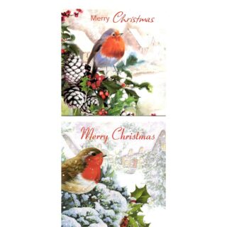 14 Luxury Robin Merry Christmas Cards - TUAC-40