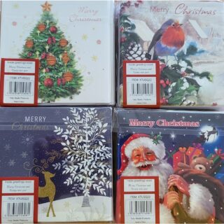 Assorted 20 Pack of Christmas Cards - Two Designs Within Each Pack (Random Pack Selected) - XTUSQ22