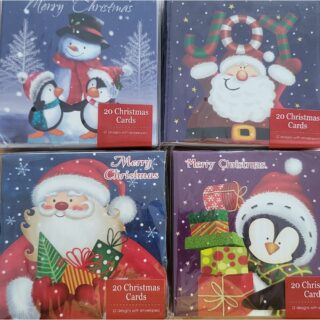 Assorted 20 Pack of Christmas Cards - Two Designs Within Each Pack (Random Pack Selected) - XTUSQ21