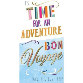 Bon Voyage - Code 30 - 6pk - FTN077 - Kingfisher