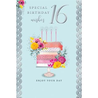 Kingfisher - Age 16 Female Cake - Code 75 - 6pk - NES002