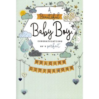 Baby Boy - Code 75 - 6pk - AVG072 - Kingfisher
