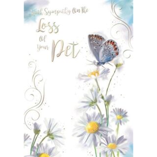 Kingfisher - Loss Of Pet - Code 50 - 6pk - AUR234