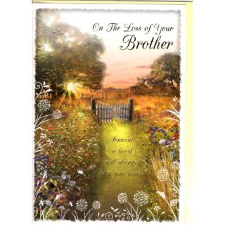 Studio Collection - Loss Of Brother - Code 50 - 12pk - 2 Designs - X91V5395