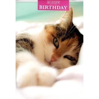 Xpress Yourself - Birthday Cat/ Dog Open - Code 50 - 12pk - 2 Designs - FB041A4