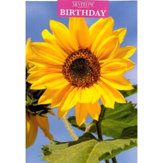 Xpress Yourself - Birthday flower Open - Code 50 - 12pk - 2 Designs - FB041A5