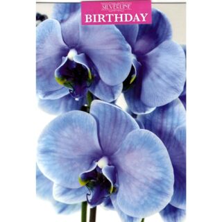 Xpress Yourself - Birthday Flower Open - Code 50 - 12pk - 2 Designs - FB041A6