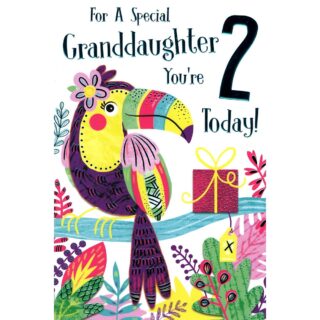 Kingfisher - Age 2 Granddaughter Parrot - Code 75 - 6pk - FF004/B