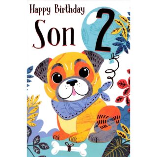 Kingfisher - Age 2 Son Dog - Code 75 - 6pk - FF010/B