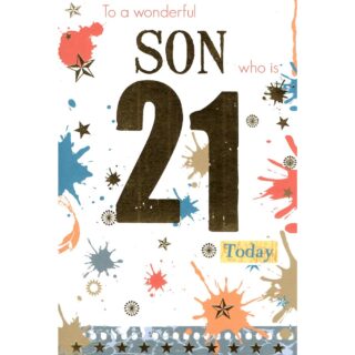 Kingfisher - Age 21 Son Paint Splatter - Code 75 - 6pk - MTL044