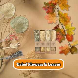 Dried Flowers & Leaves