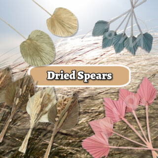 Dried Spears