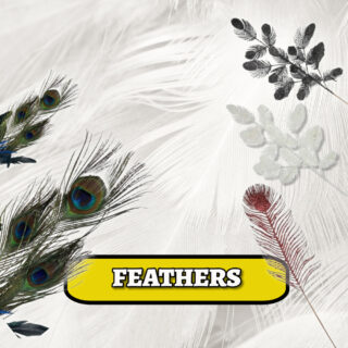 Feather's