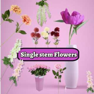 Single Stem Flowers