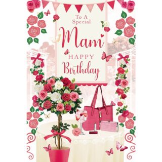 Xpress Yourself - Reflection 3d Birthday Mam Special - Code 75 - 6pk - SR7531A