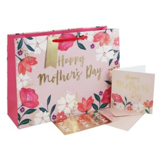 Mothers Day Gift Bag x 12  -  32049-6c
