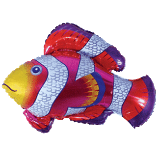 Flexmetal Clownfish Shape - 30734