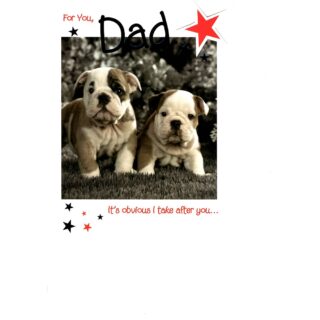 Dad XL Cards - 5753