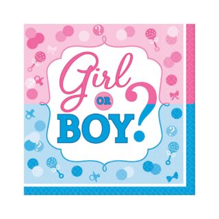 Girl or Boy Luncheon Napkins - 16ct - 33cm - 511573