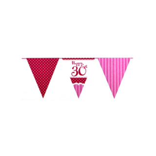 Perfectly Pink 30th Birthday Paper Flag Bunting - M108