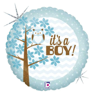 Its  A Boy Owl Holographic - 18
