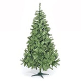 Colorado Spruce Christmas Tree - 5ft/150cm - CT04184