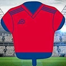 Red & Blue Football Shirt Flat - 14260