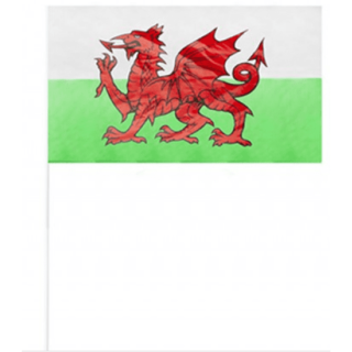 WALES PLASTIC FLAGS WITH STICKS 12