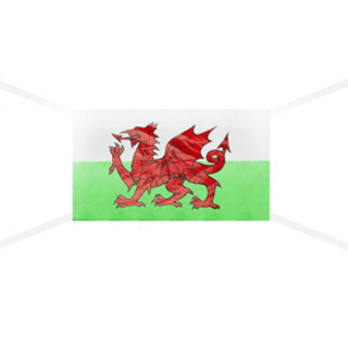 WALES RAYON FLAG WITH STRING 76CM X 50CM -031019