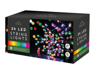 24 LED Battery Operated Lights - Multicoloured - XMA3887